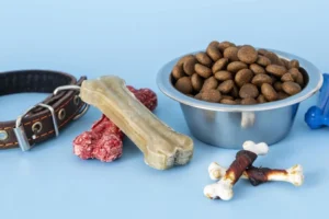 Top Organic Pet Foods for Healthy Living