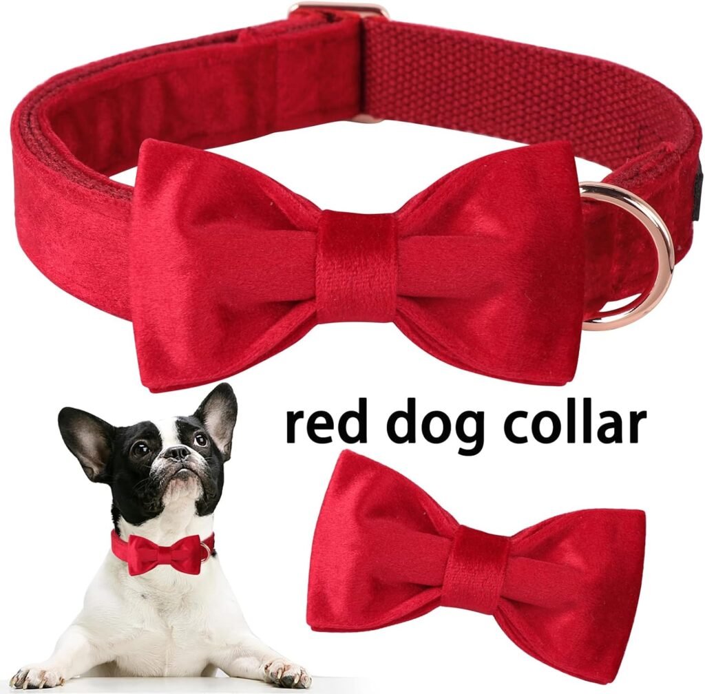  male dog collars eco pawsly