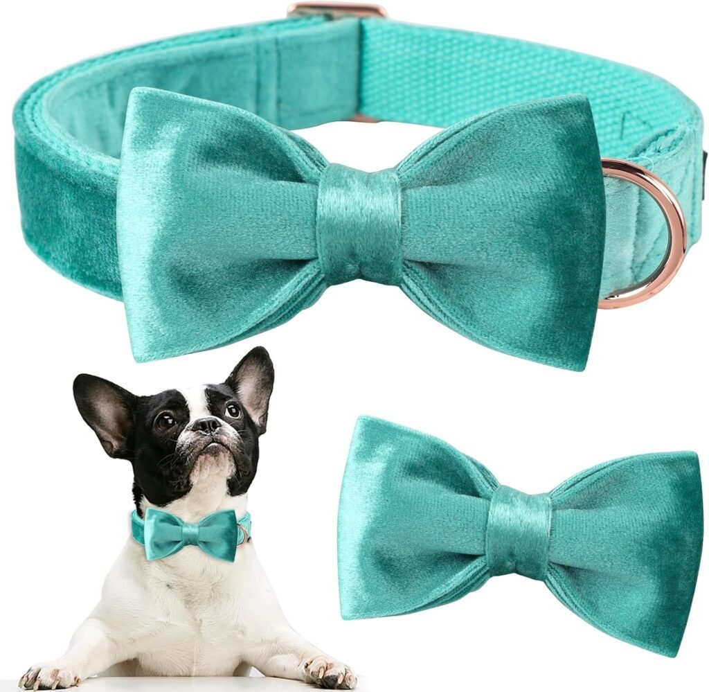  male dog collars eco pawsly pets