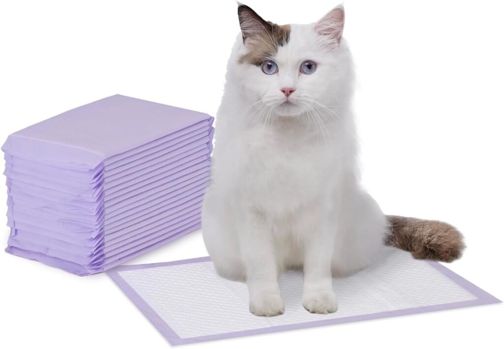 Best Pee Pee Pads for Cats – Eco Pawsly