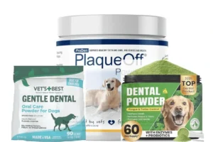Best Dental Powder for Dogs