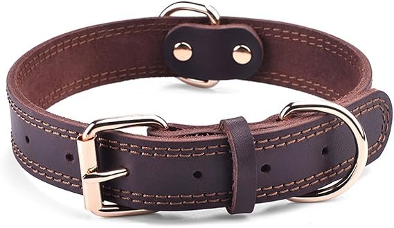  male dog collars eco paw eco pawsly
