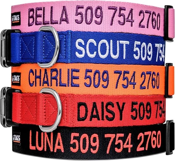 eco paws male dog collars eco pawsly