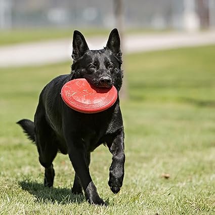 Fetch Toys for Dogs ecopawsly