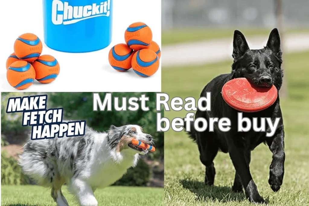 Fetch Toys for Dogs