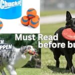 Fetch Toys for Dogs