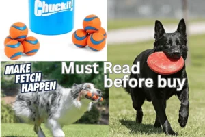 Fetch Toys for Dogs