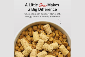 My Perfect Pet Food