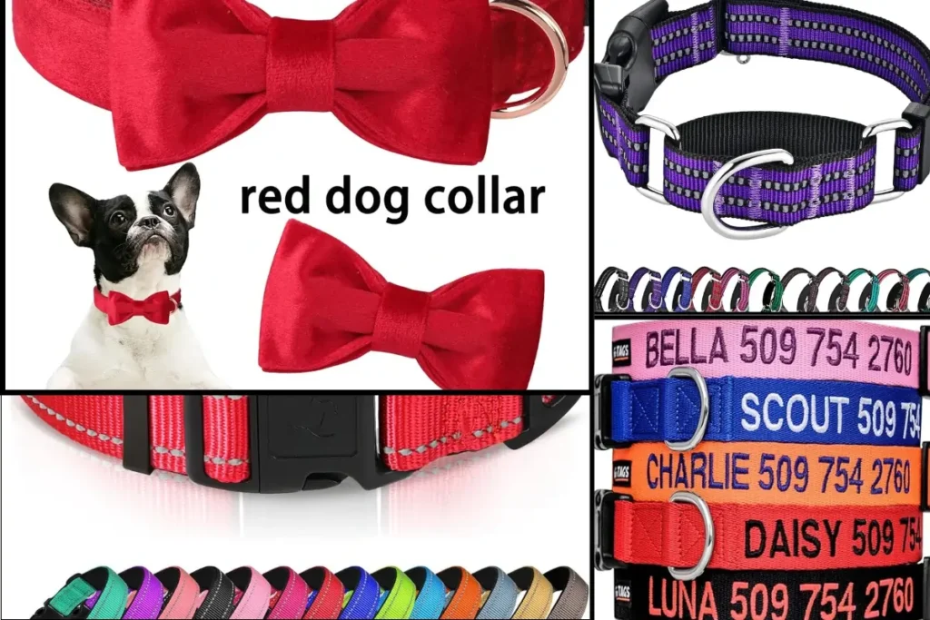 Male Dog Collars eco paws