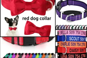 Male Dog Collars eco paws