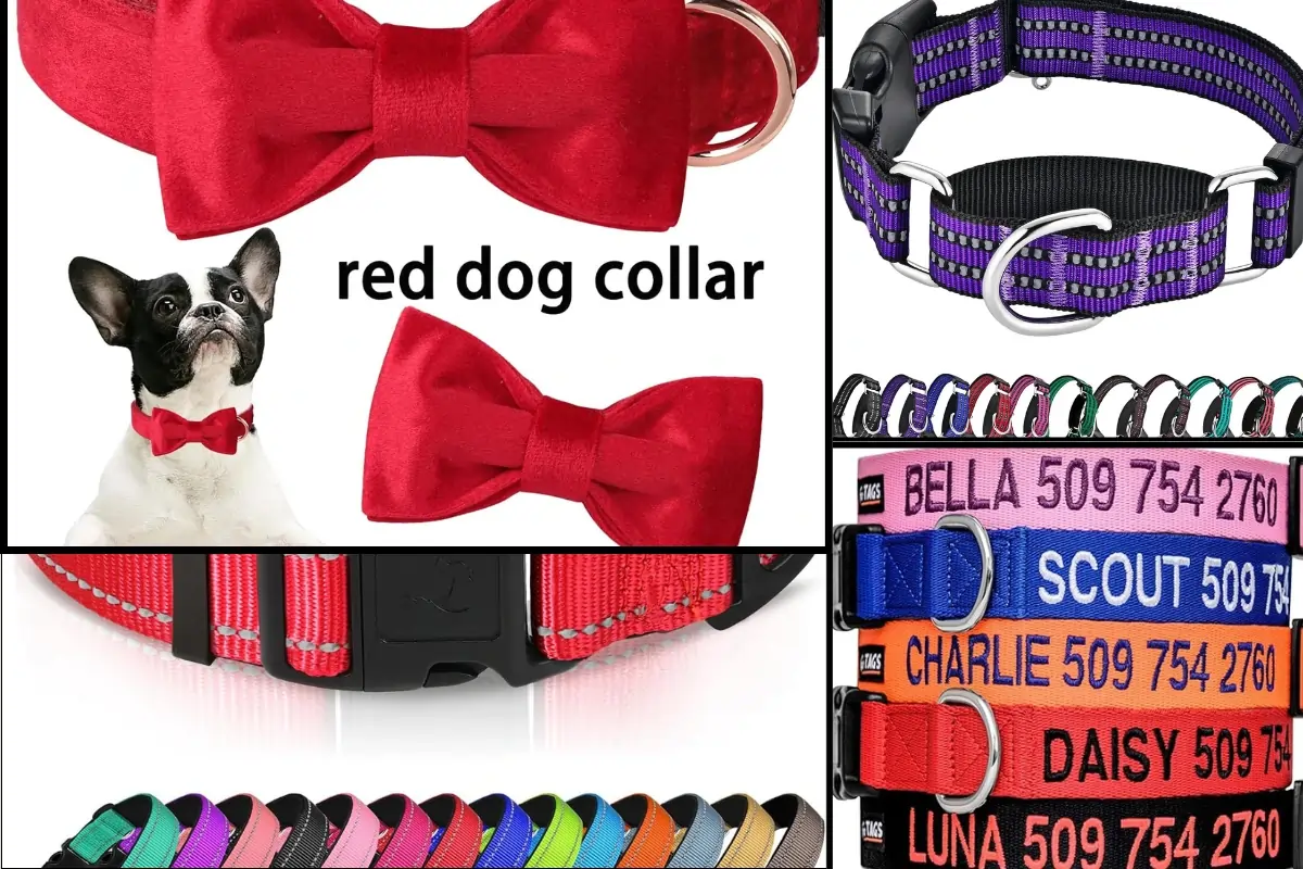 Male Dog Collars eco paws